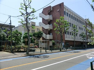 周辺環境:六号通り公園 中古一戸建て 渋谷区幡ヶ谷３丁目 11500万円 幡ケ谷駅｜住建ハウジング
