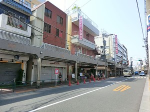 周辺環境:ダイシン百貨店 大田区山王３丁目(8880万円)｜中古一戸建て｜住建ハウジング