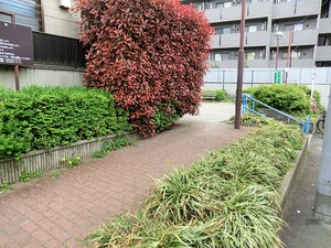 周辺環境:みすみ公園 新築一戸建て 中野区大和町４丁目 6980万円 鷺ノ宮駅｜住建ハウジング