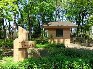 周辺環境:かしの木公園 杉並区阿佐谷北６丁目(5180万円)｜土地・売地｜住建ハウジング