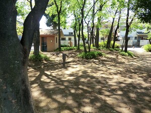 周辺環境:かしの木公園 新築一戸建て 中野区若宮３丁目 7490万円 都立家政駅｜住建ハウジング