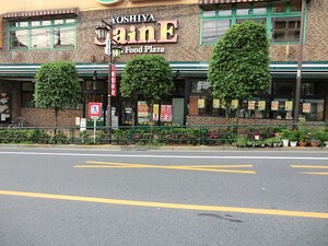 周辺環境:よしや柳町店 コスモ市ヶ谷北町