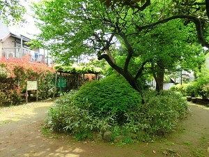 周辺環境:沼四緑の公園 ヴェルビュ沼袋(8280万円)｜中古マンション（新築･中古）｜住建ハウジング