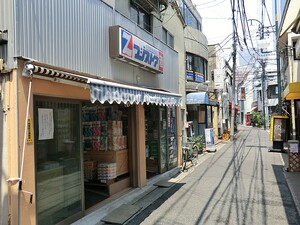 周辺環境:藤ストア マンション(一棟) 渋谷区代々木２丁目 24000万円 南新宿駅｜住建ハウジング