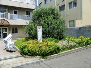 周辺環境:代々木みどり公園 マンション(一棟) 渋谷区代々木２丁目 24000万円 南新宿駅｜住建ハウジング