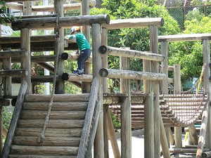 周辺環境:代々木西原公園 代々木ロイヤルマンション