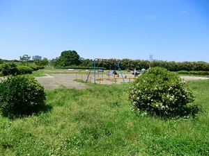 周辺環境:多摩川玉川公園 パルミナード尾山台　弐番館