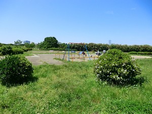 周辺環境:多摩川玉川公園 新築一戸建て 世田谷区尾山台１丁目 12800万円 田園調布駅｜住建ハウジング