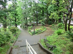 周辺環境:鶴ヶ久保公園 新築一戸建て 世田谷区下馬３丁目 13980万円 学芸大学駅｜住建ハウジング