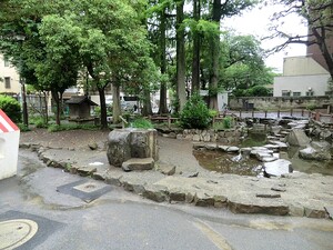 周辺環境:鶴ヶ久保公園 世田谷区野沢１丁目(6580万円)｜中古一戸建て｜住建ハウジング