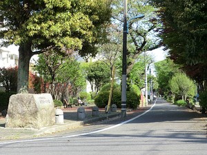 周辺環境:芳窪街かど公園 目黒区東が丘２丁目(14300万円)｜中古一戸建て｜住建ハウジング