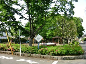 周辺環境:東町公園 杉並区善福寺４丁目(7880万円)｜土地・売地｜住建ハウジング