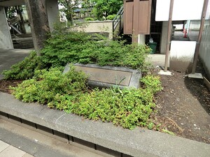 周辺環境:田端新町公園 新築一戸建て 荒川区西日暮里１丁目 9080万円 三河島駅｜住建ハウジング