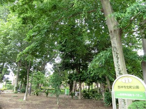 周辺環境:吉祥寺北町公園 中古一戸建て 練馬区関町北２丁目 13000万円 武蔵関駅｜住建ハウジング