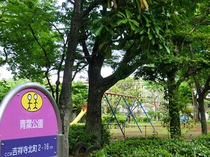 周辺環境:青葉公園 ＯＰＵＳ