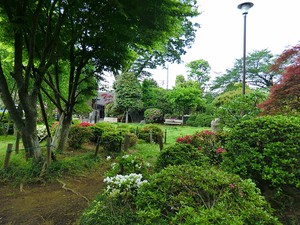 周辺環境:はなもみじ公園 ＯＰＵＳ