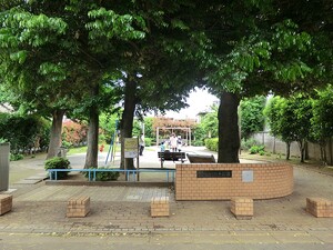 周辺環境:しいのみ公園 新築一戸建て 練馬区桜台５丁目 9380万円 桜台駅｜住建ハウジング
