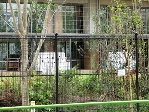 周辺環境:港区立芝浦幼稚園 田町スカイハイツ