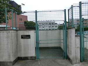 周辺環境:天神幼稚園 トラストホームズ若松町