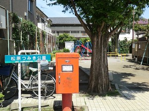 周辺環境:松原つみき公園 土地・売地 杉並区和泉２丁目 15660万円 明大前駅｜住建ハウジング