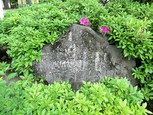 周辺環境:南長崎公園 その他(一棟) 豊島区長崎３丁目 6900万円 東長崎駅｜住建ハウジング