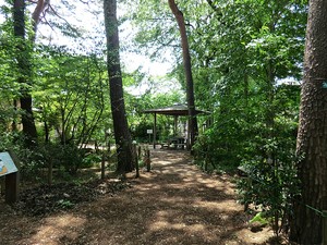 周辺環境:木の花小路公園 その他(一棟) 武蔵野市吉祥寺北町３丁目 5150万円 吉祥寺駅｜住建ハウジング