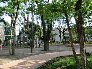 周辺環境:扶桑通り公園 中古一戸建て 練馬区関町北２丁目 13000万円 武蔵関駅｜住建ハウジング