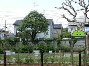 周辺環境:北裏公園 中古一戸建て 練馬区関町北２丁目 13000万円 武蔵関駅｜住建ハウジング