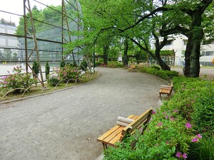 周辺環境:新大塚公園 ファミールグラン小日向