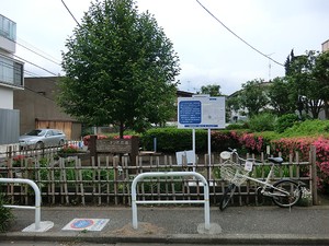 周辺環境:トンボひろば公園 藤和三軒茶屋コープ