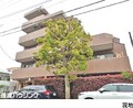 マンション中野区野方１丁目9280万円