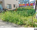 土地新宿区中落合１丁目7990万円