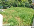 土地杉並区成田西３丁目8500万円