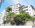 マンション中野区松が丘１丁目5499万円