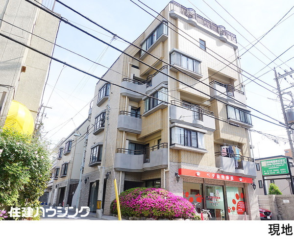  マンション(一棟) 板橋区蓮沼町 46000万円 本蓮沼駅｜住建ハウジング
