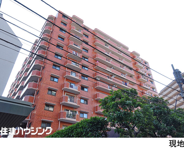  シャンボール三田