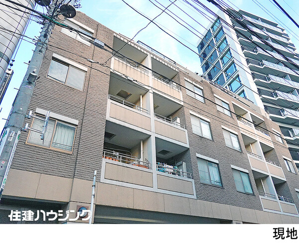  セーナ中野