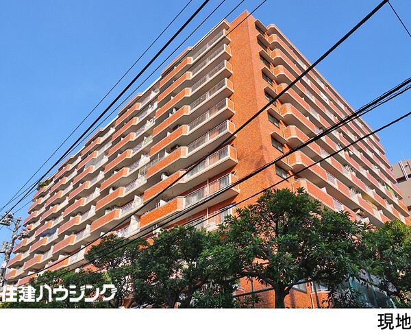  シャンボール三田