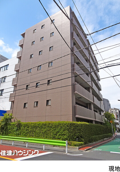  パルテール白金