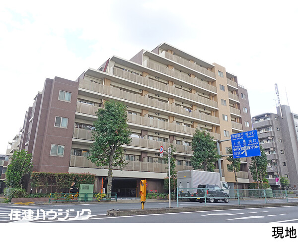  ルピナス用賀