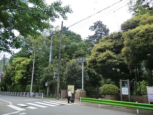 宝来公園 