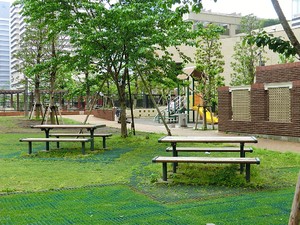 周辺環境:プラタナス公園 