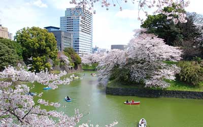 千鳥ヶ淵緑道