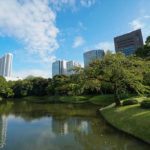 小石川後楽園内から見る高層ビル群