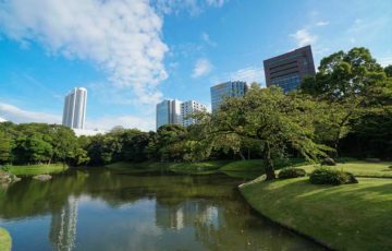 小石川後楽園内から見る高層ビル群