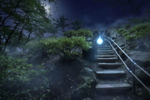 戸山公園の人魂