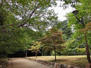 江古田の森公園