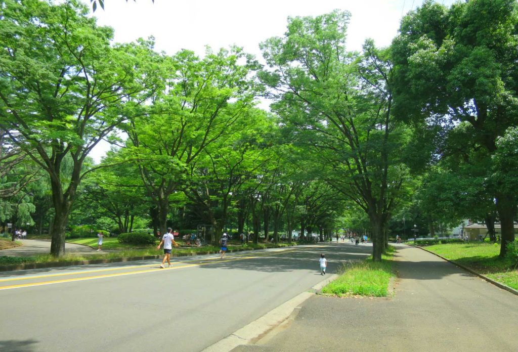 駒沢公園ジョギングコース