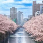 目黒区の街並みを空撮した写真