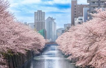 目黒区の街並みを空撮した写真